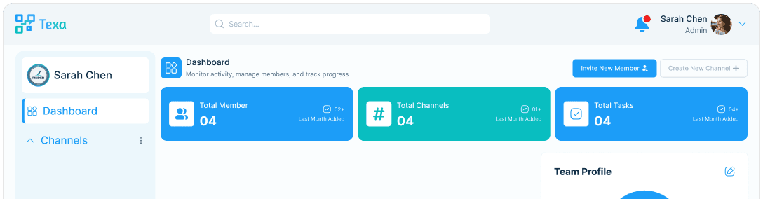 Texa dashboard preview